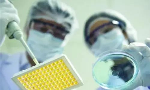 北京經開區 從仿制到創新，生物醫藥產業的技術開發如何擦亮“創新底色”